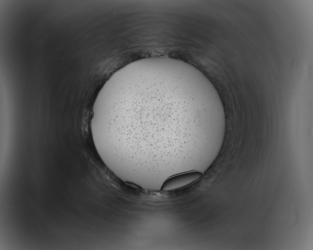 X0000086890768200705071223