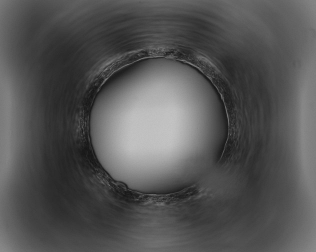 X0000086890773200705071222