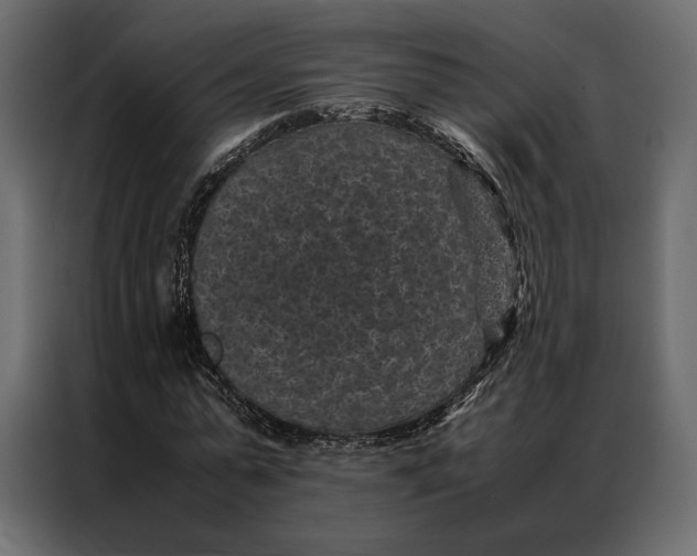 X0000086890775200705071222