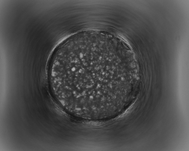 X0000086890779200705071222