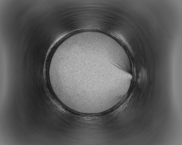 X0000086890780200705071222