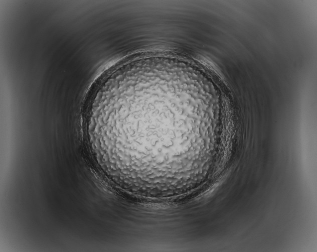 X0000086890781200705071222