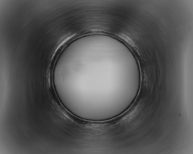 X0000086890782200705071222