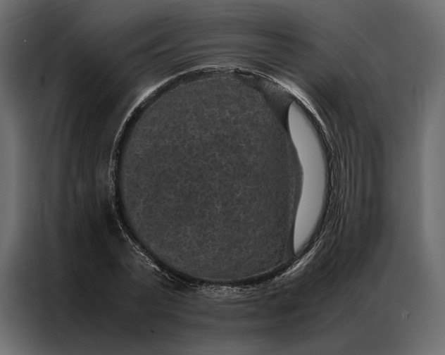 X0000086890783200705071222