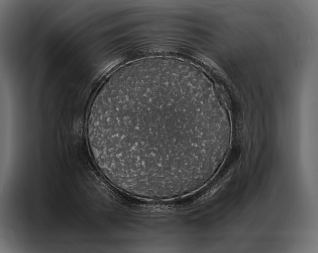 X0000086890785200705071222