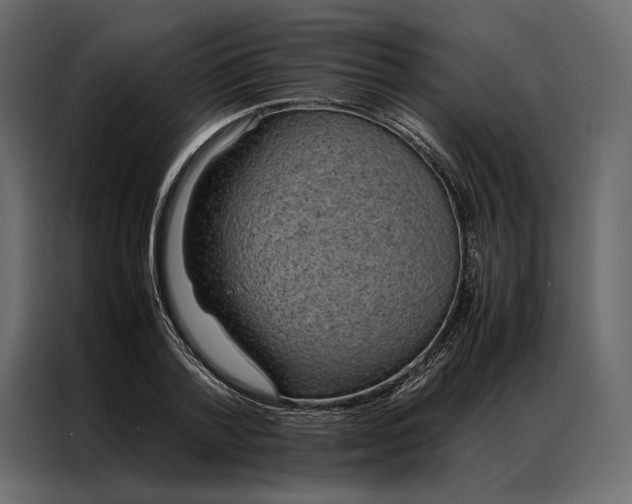 X0000086890788200705071222