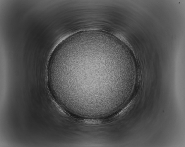 X0000086890789200705071222