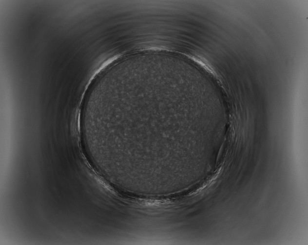 X0000086890790200705071222