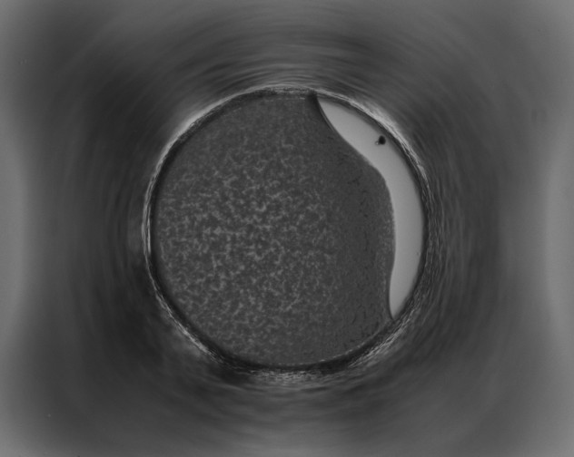 X0000086890791200705071222