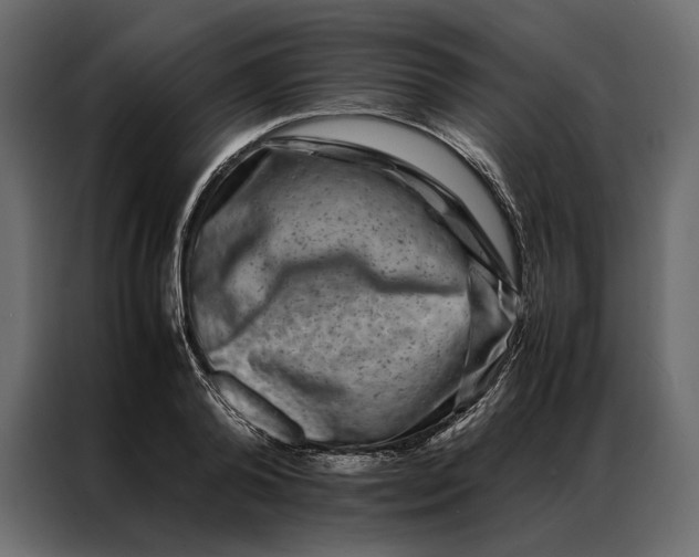 X0000086890792200705071222