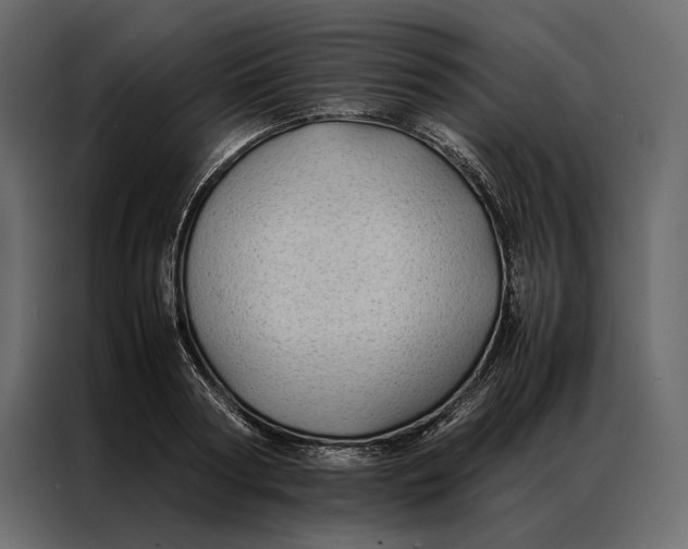 X0000086890794200705071222