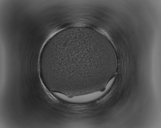 X0000086890795200705071222