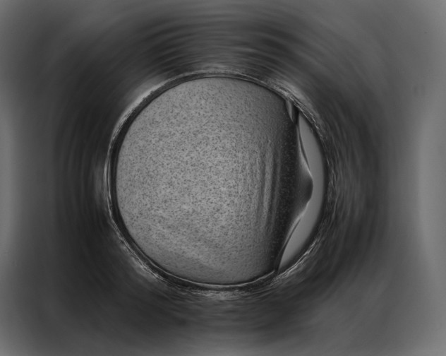 X0000086890796200705071222