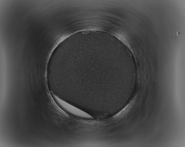 X0000086890797200705071222