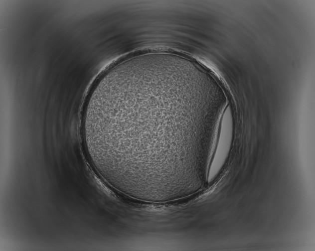 X0000086890799200705071222