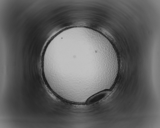 X0000086890800200705071222