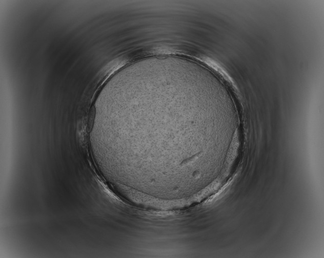 X0000086890801200705071222