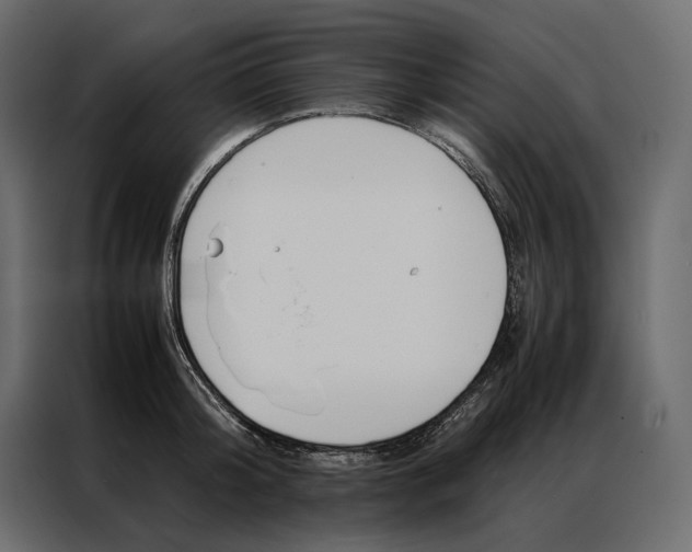 X0000086890804200705071222