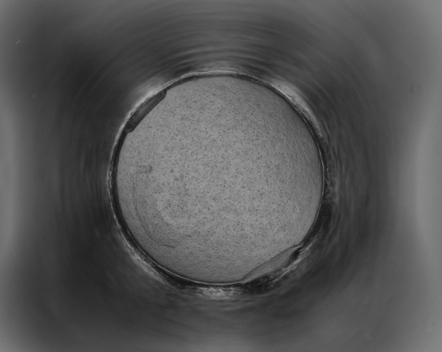 X0000086890805200705071222