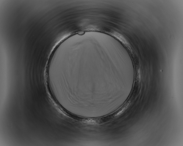 X0000086890806200705071221