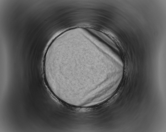 X0000086890808200705071221