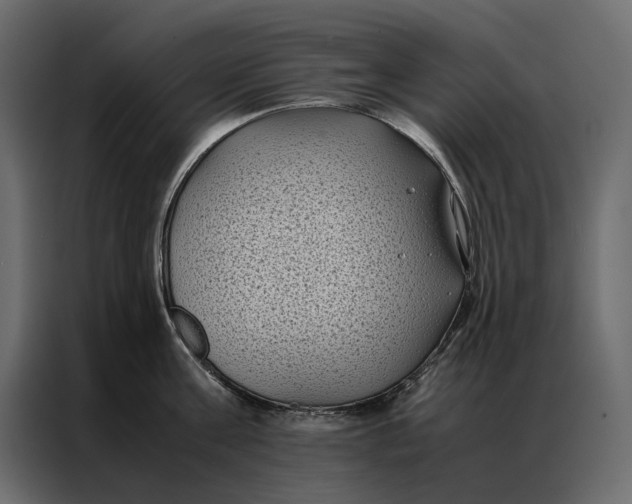 X0000086890811200705071221