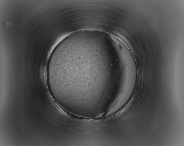 X0000086890812200705071221