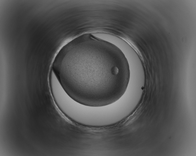 X0000086890813200705071221