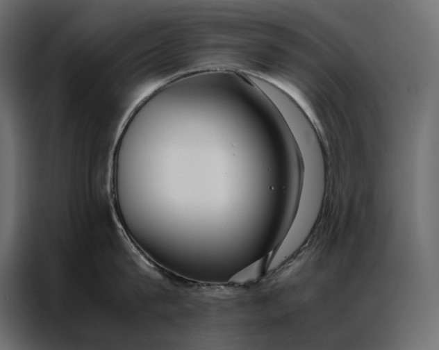 X0000086890815200705071221