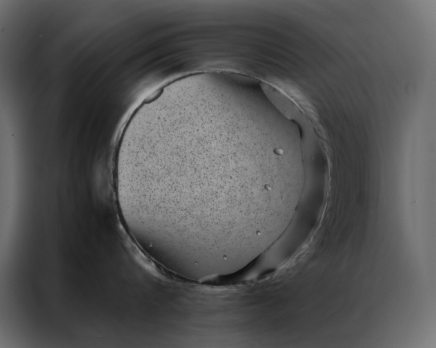 X0000086890816200705071221