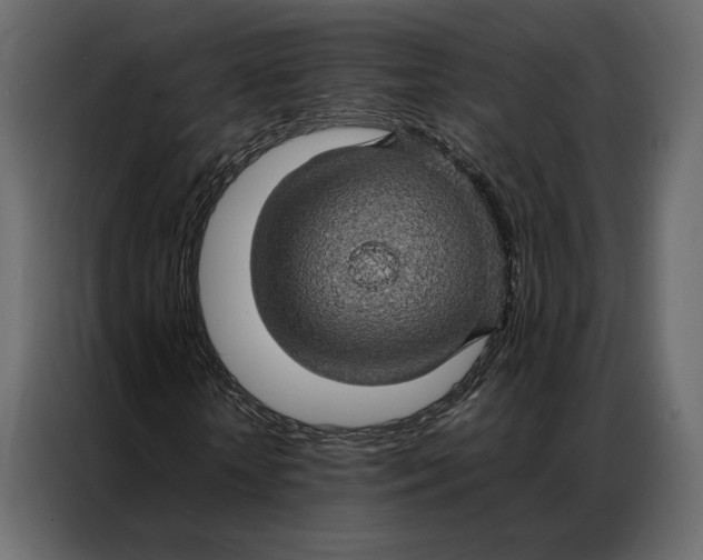 X0000086890818200705071221