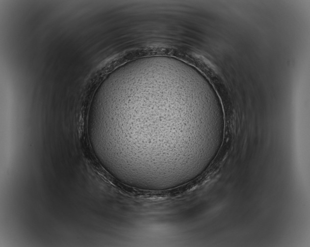 X0000086890821200705071221