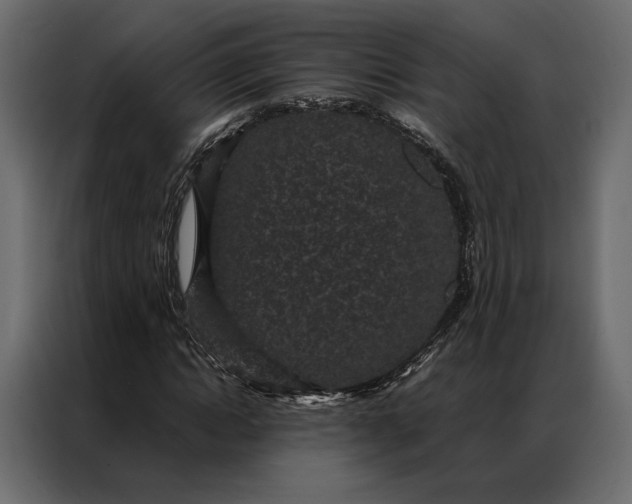 X0000086890822200705071221