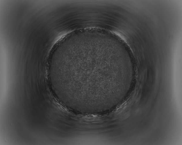 X0000086890823200705071221