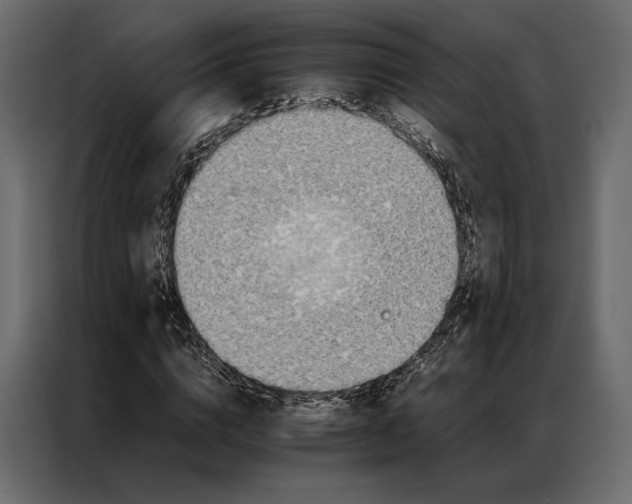 X0000086890824200705071221