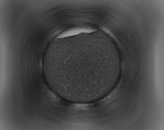 X0000086890825200705071221