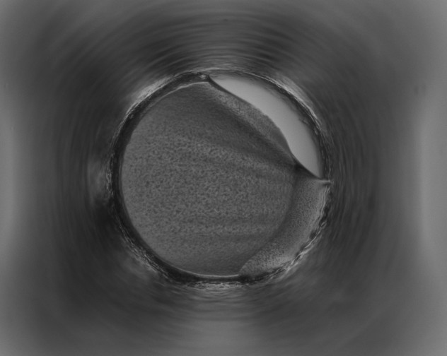 X0000086890826200705071221