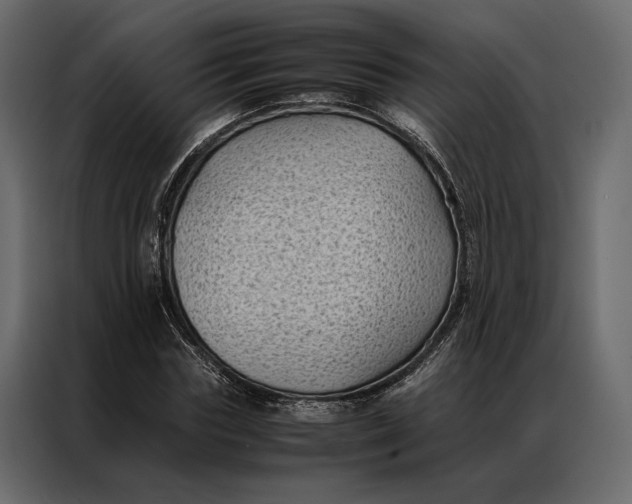 X0000086890827200705071221