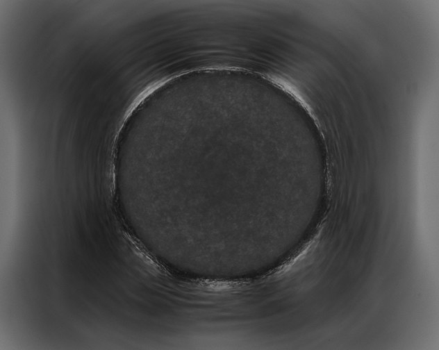 X0000086890829200705071221