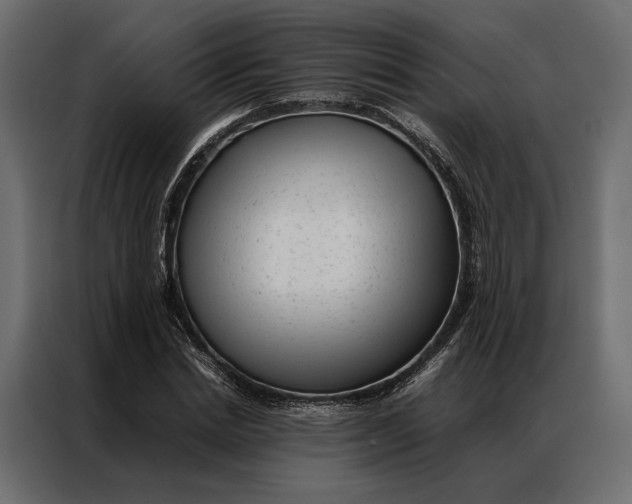 X0000086890830200705071221