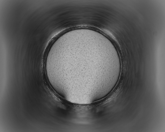 X0000086890831200705071221