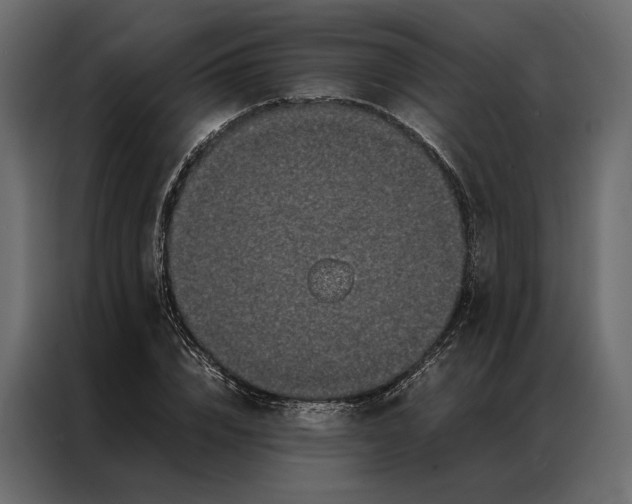 X0000086890832200705071221