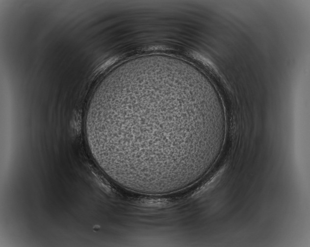 X0000086890833200705071221