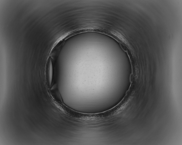 X0000086890834200705071221