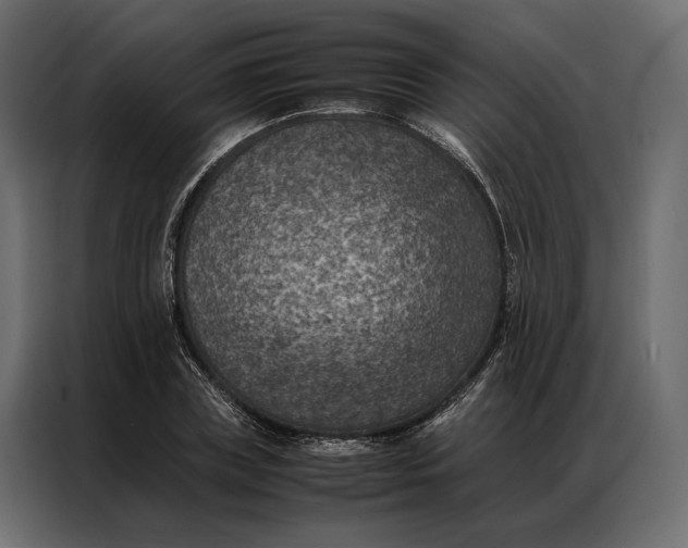 X0000086890835200705071221