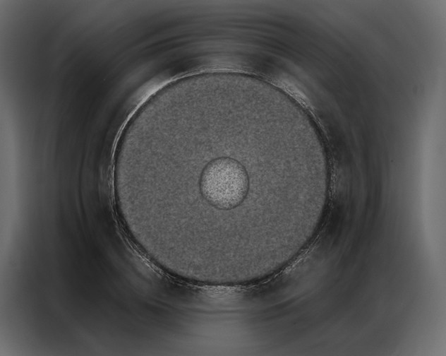 X0000086890836200705071221