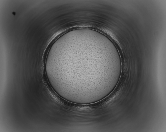 X0000086890837200705071221