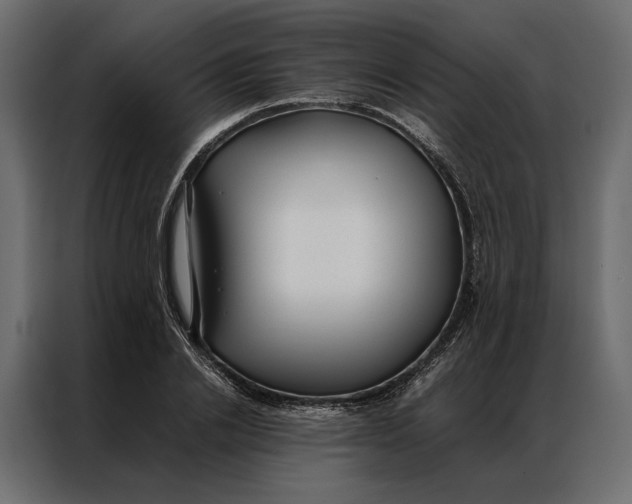 X0000086890838200705071221