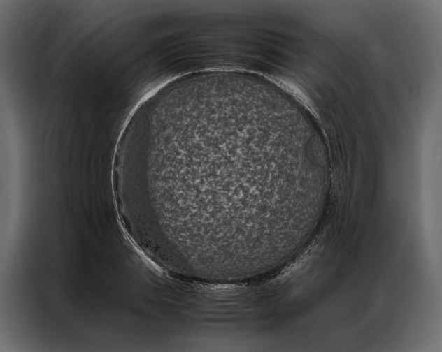 X0000086890839200705071221