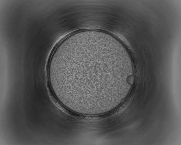 X0000086890840200705071221